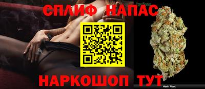 крисы Рузаевка