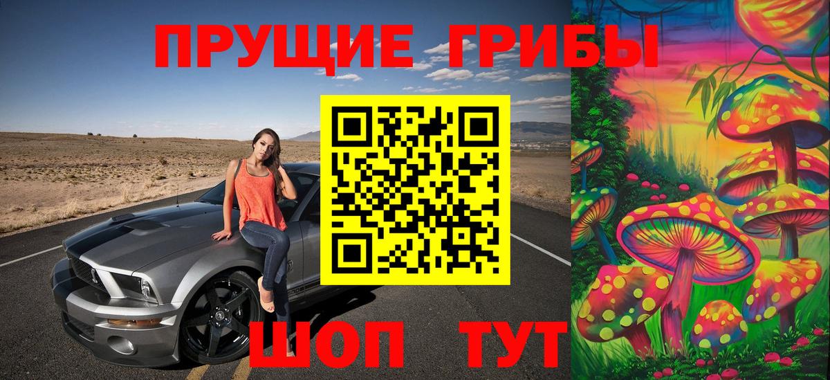 Псилоцибиновые грибы прущие грибы  Вход с VPN  Семилуки  даркнет сайт  Галлюциногенные грибы GOLDEN TEACHER 