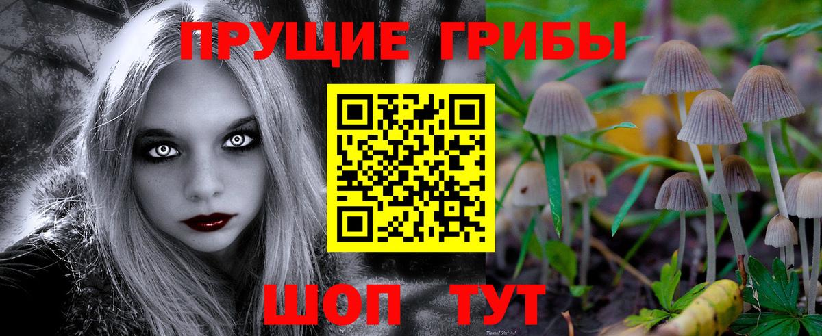 Галлюциногенные грибы прущие грибы Семилуки